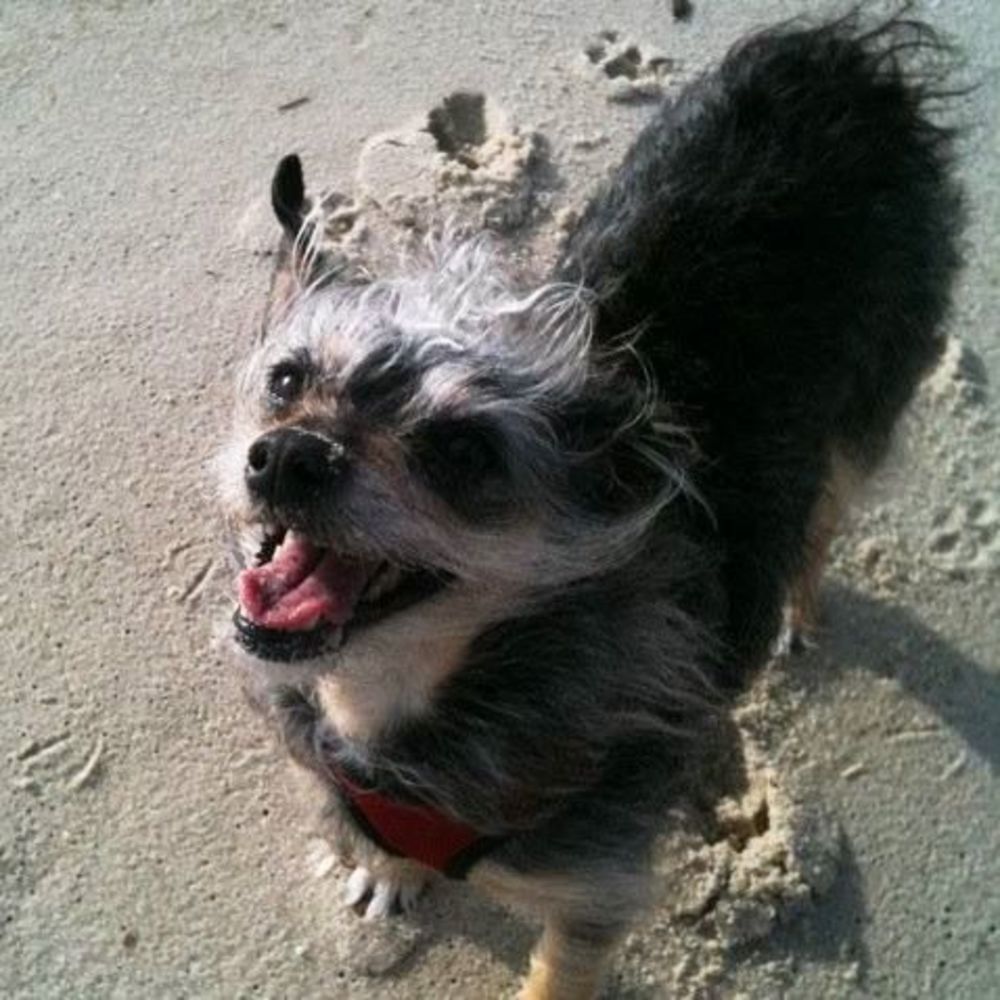 Meet your Posher, Sally